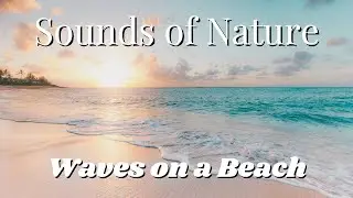Relaxing Sounds of Waves Crashing on Beach - Nature Sounds, Deep Sleep, White Noise [10 Hours]