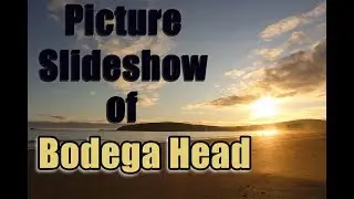 Picture Slideshow of Bodega Head #4