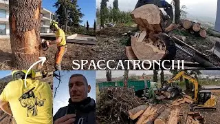 ABBATTIMENTO GROSSI CEDRI DEL LIBANO, SPACCATRONCHI, CIPPATURA E FRESATURA CEPPI
