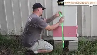 Cheap Tie Downs for beehives - Hurricane Prep