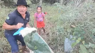 COBRA QUANDO MORDE DOI ESSA NEM DOEU 