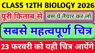 Class 12th Biology Ke Most Important Diagram | Up Board 12th Biology Most Important Diagram 2026