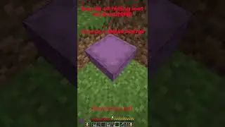 Day 38 Of Hiding Loot On Donutsmp