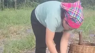 single mother harvesting rice, daily life