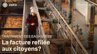 Traitement des eaux us&eacute;es: une norme qui co&ucirc;tera des milliards aux villes