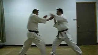Hiko Ryu Taijutsu Basic Training 13-3 Uchiuchi Kiyoshi Takeuchi