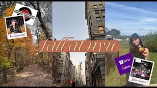 my fall at nyu vlog 🍂🍎