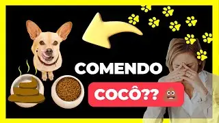 COPROFAGIA CANINA | Entenda o que &eacute; e como fazer o CACHORRO PARAR DE COMER COC&Ocirc;💩💩
