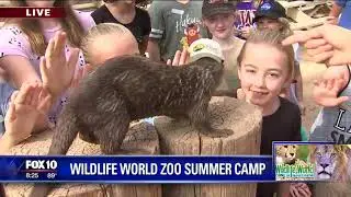 Cory's Corner: Wildlife World Zoo Summer Camp