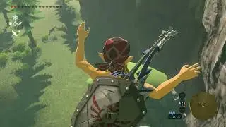 The Legend of Zelda: Breath of the Wild test video.