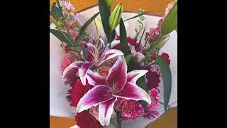 Green Buds, Pink Blooms