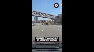Virginia police nab driver who cut across entire boulevard