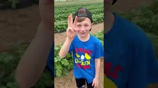 Five farm facts with little farmer froberg #farmerlife