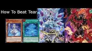 Tier 0 deck! Master Duel lets counter the Meta decks (Tearlaments, Spright, Swordsoul,...)