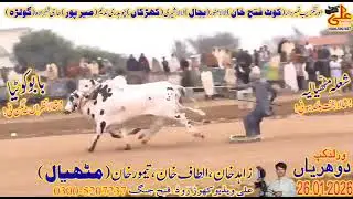 Faheem khan Commando دوھریاں جلسہ 