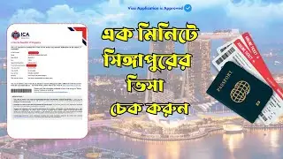 How To Check Singapore Visa Online| Singapore Visa Status Check| Tourist Visa
