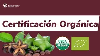 💰🌱 Negocios | Certifícate utilizando la plataforma SachaColombia y ahorra $50.000