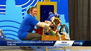 Drake University hosts paint fight, Beautiful Bulldog Contest ahead of relays