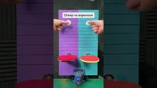 cheap vs Expensive table tennis racket #sports #racket