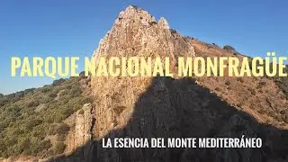 PARQUE NACIONAL MONFRAGÜE.                      LA ESENCIA DEL MONTE MEDITERRÁNEO.