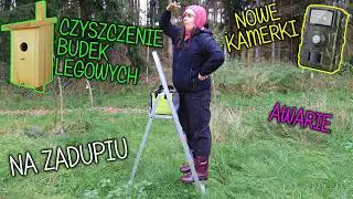 U dzików na zadupiu - czyszczenie ptasich budek - wieszanie fotopułapek - awarie zadupia