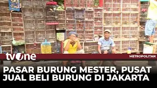 Kicau Burung di Pasar Burung Mester Tak Lagi Gacor | Metropolitan tvOne