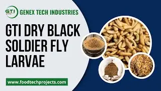 BSFL Dryer Machine | Black Soldier Fly Larvae Drying Equipment | Manufacturer & Exporter