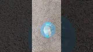 Oh Snap! It's a Robot Hamster! / なぬ⁉ ロボットハムスター?