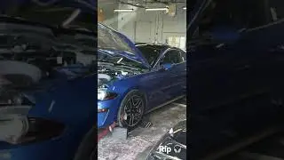 2018 Mustang GT E85 Cat delete (Dyno)