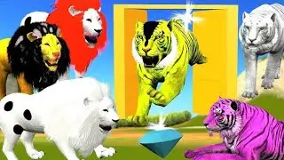 Tiger 🐅 Animal Race Animal Zebra Came t-rex Horse. Cow planet Zoo Race Animal Running Race #part7 