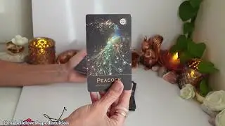 Колода Оракула Духовного Животного ~ Пролистывание и мини-чтение