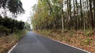 Chapramari forest