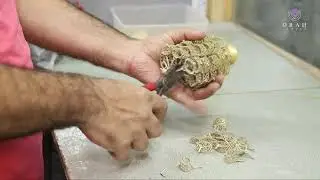 Orah Jewels - Pakistan | Jewelry Tree cutting