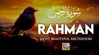 Surah Ar Rahman سورة الرحمن | Calming Quran to Relax Your Heart & Mind | Noor Pulse Tv