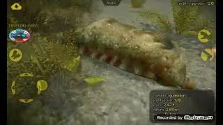 Carnivores dinosaur hunter
