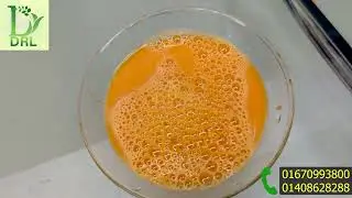বিশুদ্ধ আলকুশি বীজের চূর্ণ /mucuna seeds powder /call for order +8801937546221