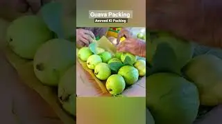 Amrood Ki Packing (Guava Packing) #shorts #guava #amrood