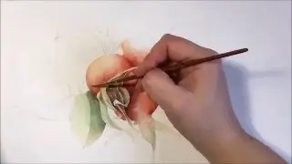 A wild rose . Watercolor... Part 1