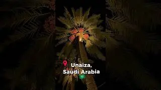 Unaizah, Al Qassim - Saudi Arabia 🇸🇦