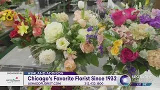 Chicago's Favorite Florist Since 1932