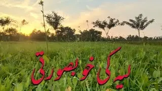 Unseen beauty of Layyah Part 2 || Chak No 133 Lalazar Layyah ||