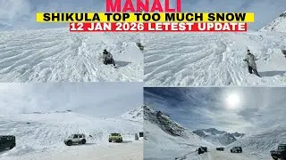 Manali Shikula Top Too Much Snow || 12 Jan 2026 Letest Update 