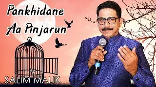Pankhidane Aa Pinjarun | Salim Malik