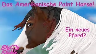 SSO Spoiler! Das neue American Paint Horse! || Star Stable Online (SSO)