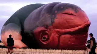The Skywhale: First Flight