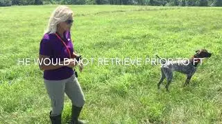 Retrieve tricks the answer!!!