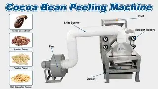 500 KG/H Cacao Bean Dehuller Skin Peeling Machine|Cacao Peeler Cracker|Cocoa Bean Winnower Machine
