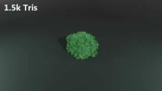 Стилизованный куст, покадровая съемка