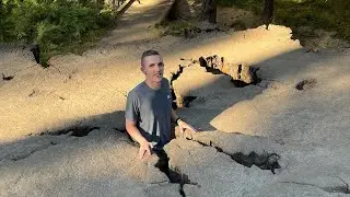 One big tree stump in Sequoia National Park