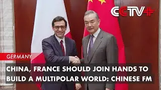 China, France Should Join Hands to Build a Multipolar World: Chinese FM